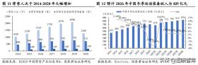 新澳准资料免费共享，数据驱动复古款87.55.10方案实施-图5