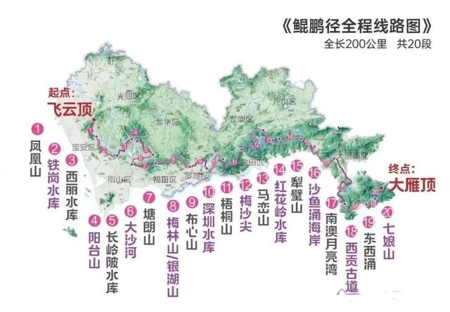 深圳摄影胜地，水灵灵的大片轻松出炉！-图18